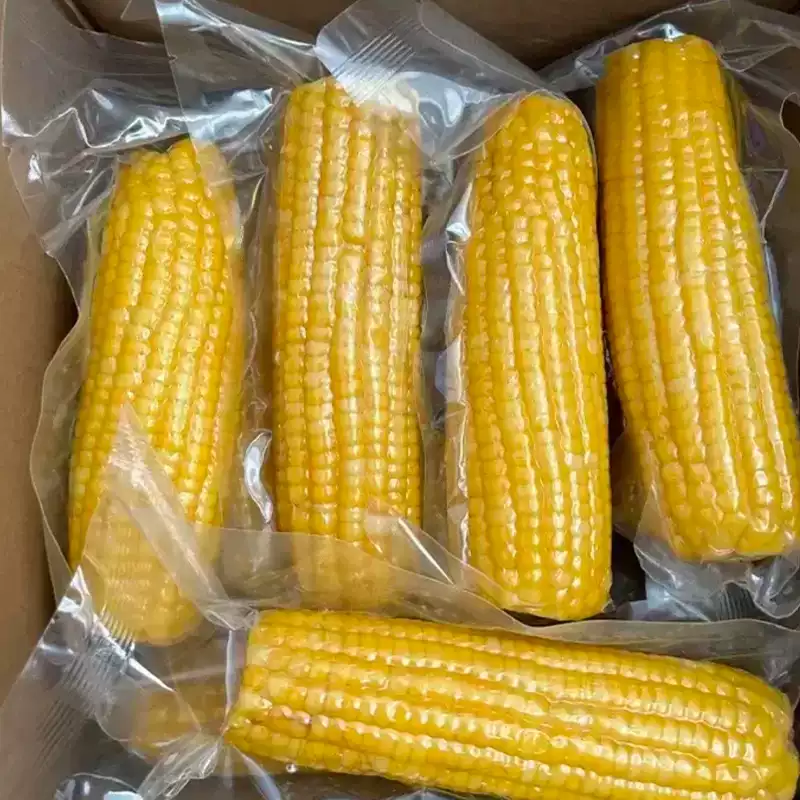 Chinese Glutinous Corn on the Cob - Wuzhai Sweet Yellow 5kg - Image 6