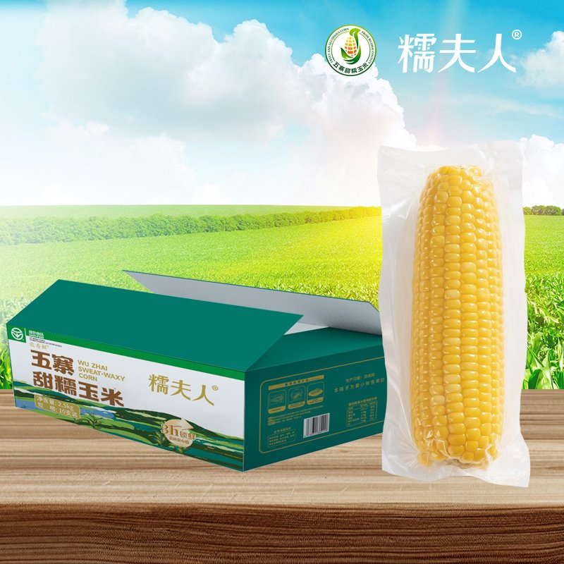Chinese Glutinous Corn on the Cob - Wuzhai Sweet Yellow 5kg - Image 4