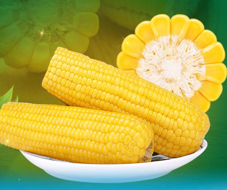 Chinese Glutinous Corn on the Cob - Wuzhai Sweet Yellow 5kg